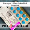 Kamagra 100Mg Oral Jelly Sildenafil new07